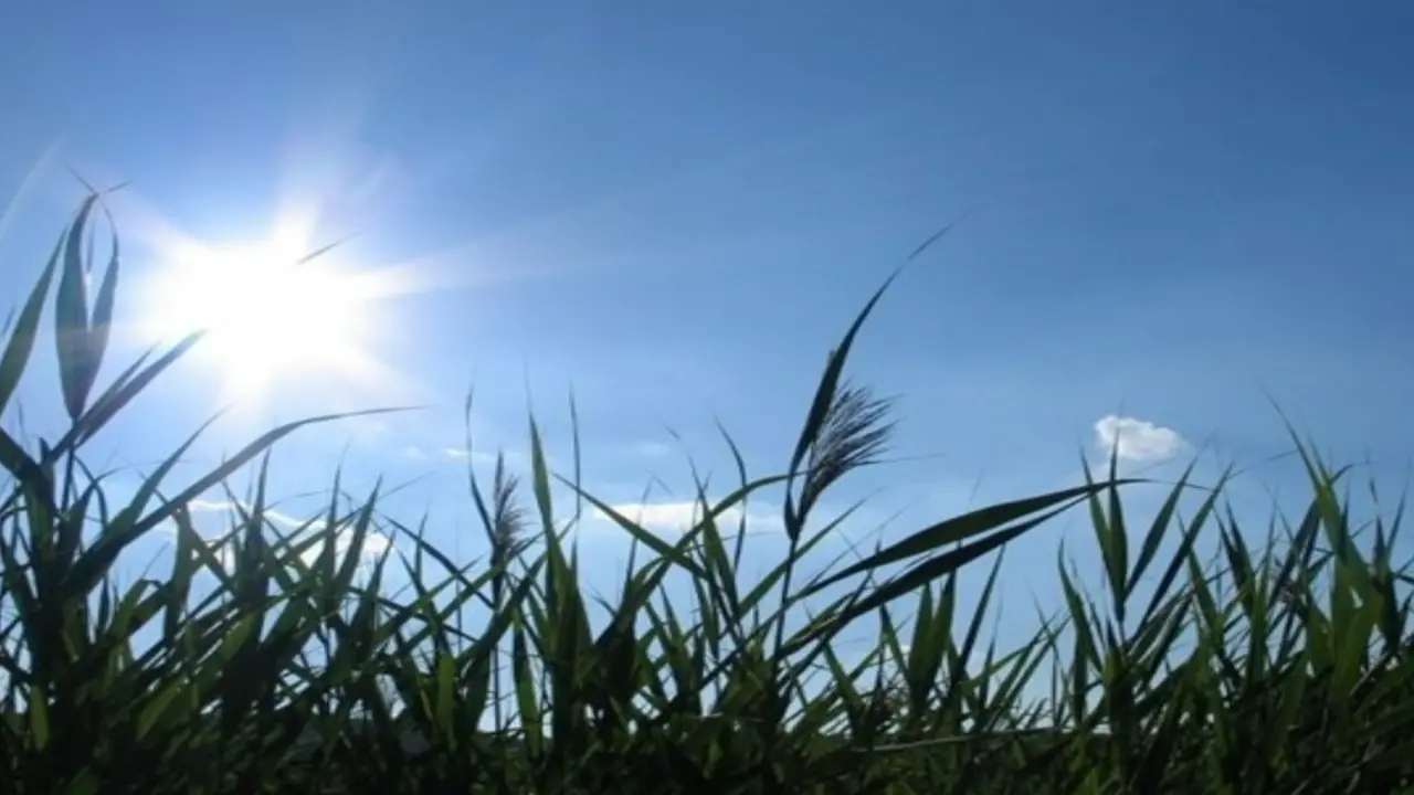 توقعات الحرارة اليوم.. ارتفاع ملموس في درجات الحرارة مع سطوع الشمس بوضوح